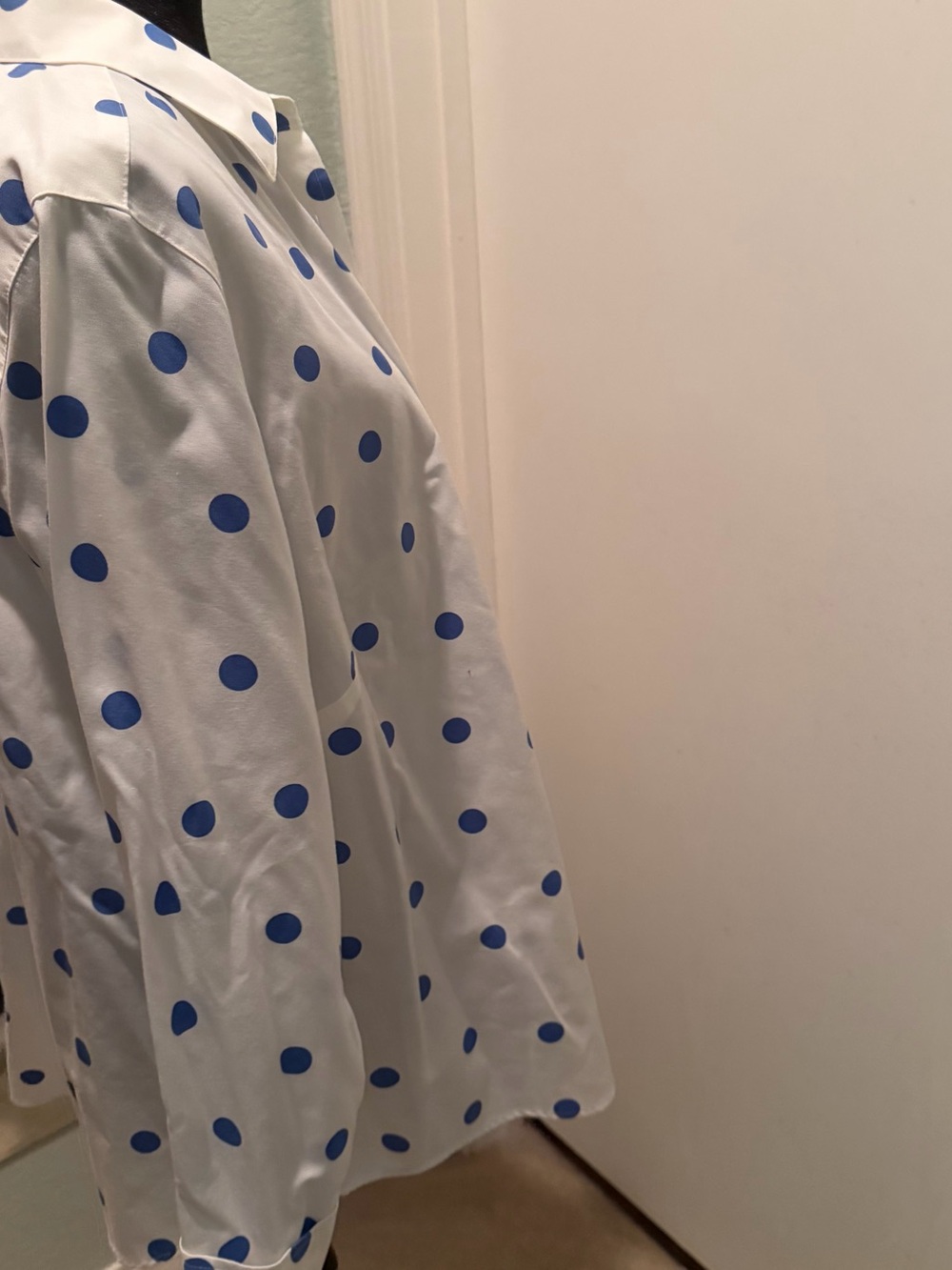 Foxcroft White Button-Down Shirt with Blue Polka Dots - Picture 3 of 5